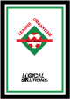 League Organizer Soccer Logo