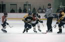 Hockey Referee Photo
