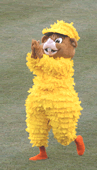 Little League Mascot Photo