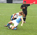 Soccer Referee Photo